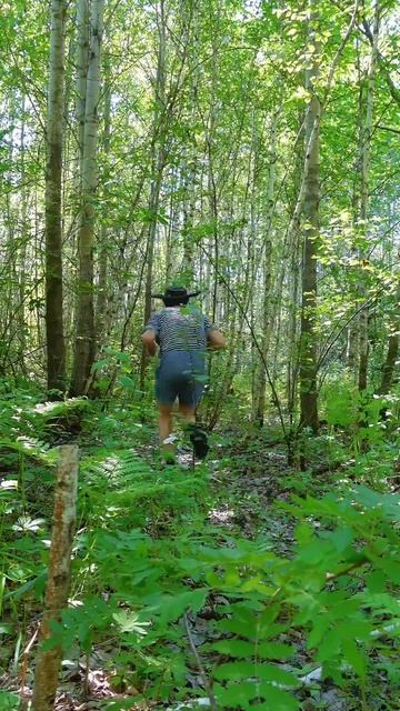 Бросил пить смотреть онлайн