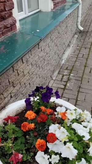 Еду домой/ Возвращаюсь с юга/Романтика плацкарта😁