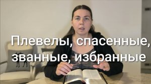 Плевелы, спасенные, званные, избранные