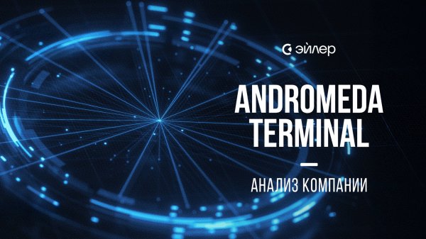Andromeda Terminal: Анализ компании