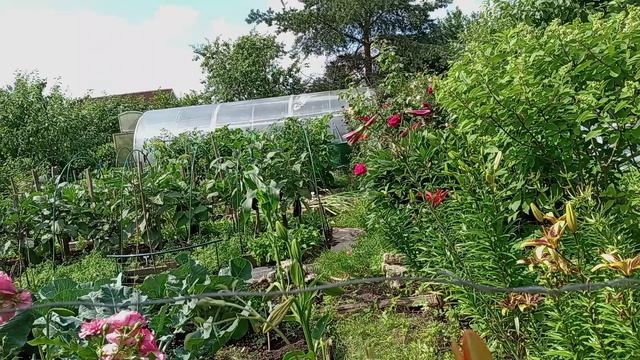 В ОГОРОД ЧЕРЕЗ САД. ИЮЛЬ. смотреть онлайн