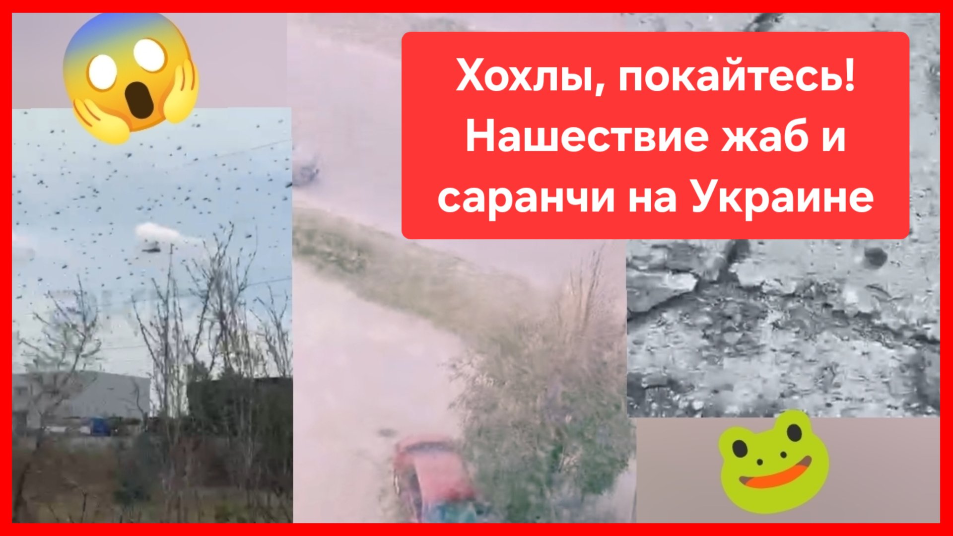 Нашествие жаб и саранчи на Украине смотреть онлайн