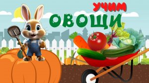 УЧИМ ОВОЩИ| РАЗВИВАЮЩИЕ ВИДЕО ДЛЯ ДЕТЕЙ