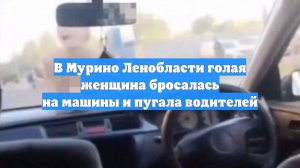 В Мурино Ленобласти голая женщина бросалась на машины и пугала водителей