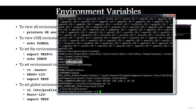 117 - Environment Variables смотреть онлайн