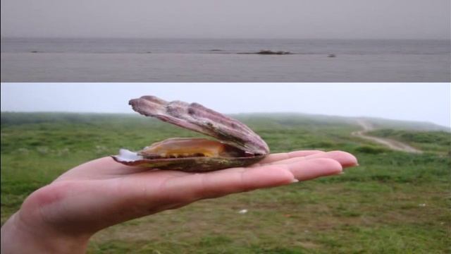 Приморские зарисовки смотреть онлайн