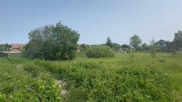 Видео смотреть онлайн