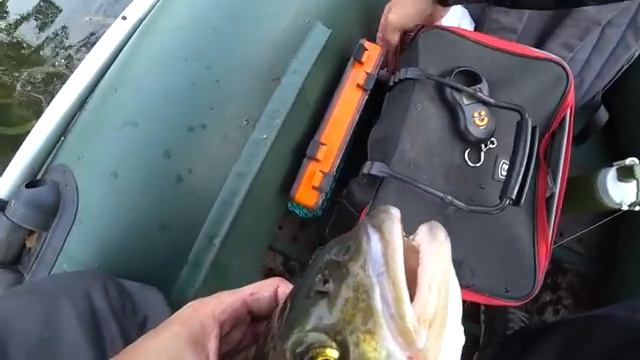 Моя рыбалка смотреть онлайн