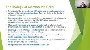 Precision_fermentation_and_cell_based_meat,_viable_alternatives