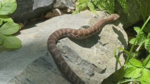 остров Попова | Владивосток | Приморский край