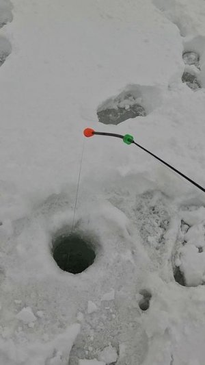 ЗИМНИЙ ГОЛЕЦ