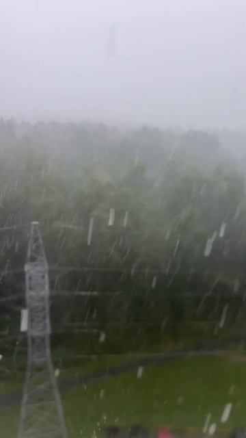 Прогноз погоды  24 июля #топ #shortvideo