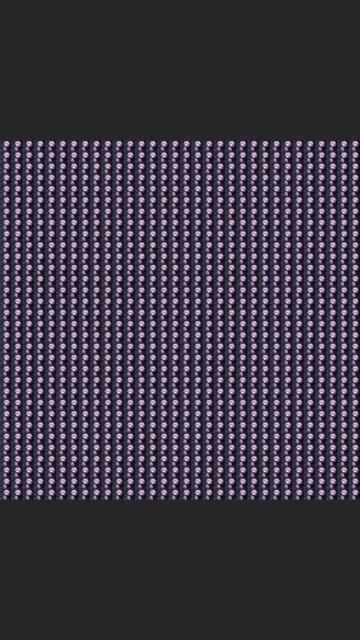 2025-07-24