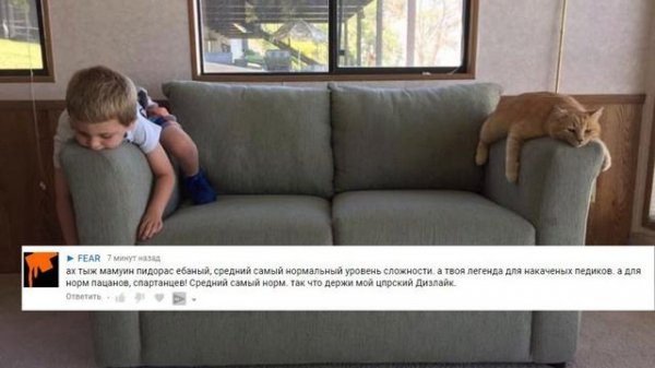 Total War Cat разоблачён!!111