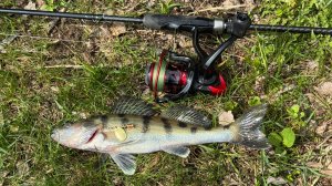 Рыбалка на спиннинг вдоль берега на блесны вертушки. Блесна. Рыбалка на блесну.