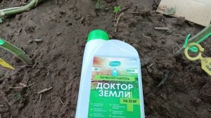 Восстановить плодородие почвы мне поможет «Доктор земли»