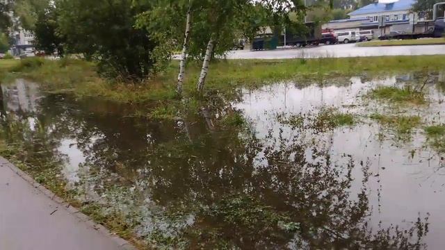 Болота 🐊 Гуляем под дождём ☔ смотреть онлайн