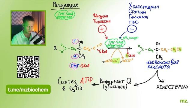 ХОЛЕСТЕРИН за 12 МИНУТ! // На Биохимическом смотреть онлайн