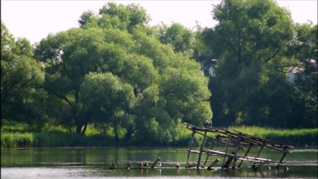 Пройдут года... смотреть онлайн