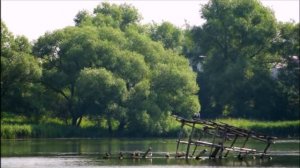 Пройдут года...