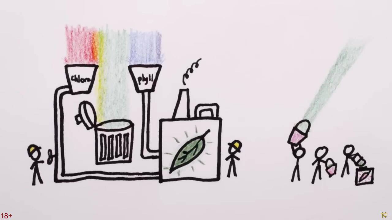 Почему Листья Зелёные? Часть 1 смотреть онлайн