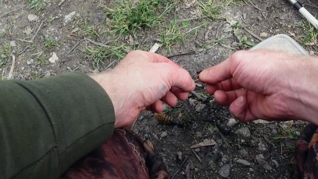 КАРАСИ СМЕЮТСЯ, КОМАРЫ АПЛОДИРУЮТ! смотреть онлайн