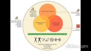 Амлодипин плюс лизиноприл в фиксированной комбинации в терапии АГ
