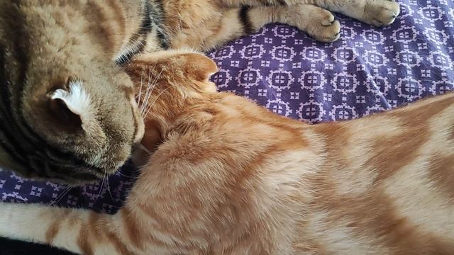 Утренние целованья-умыванья🥰 смотреть онлайн