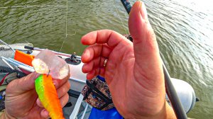 ЗАЦЕПИЛ ПАРОВОЗ!!! САЗАН?! Рыбалка на спиннинг на Оби. Рыбалка 2025