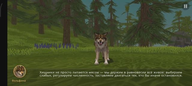 История WildCraft Дикие равнины глава 3.