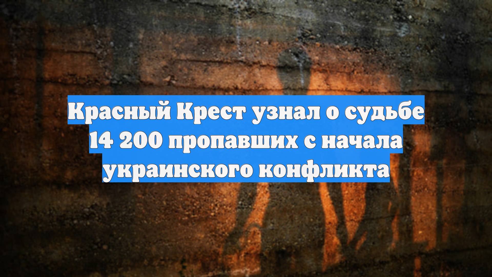 Красный Крест узнал о судьбе 14 200 пропавших с начала украинского конфликта смотреть онлайн