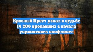 Красный Крест узнал о судьбе 14 200 пропавших с начала украинского конфликта