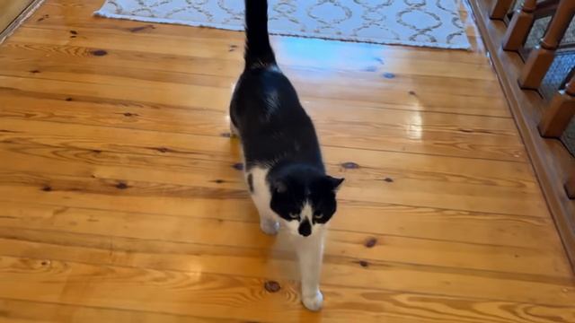 задание от подписчиков. анука давай-ка