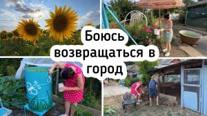 БОЮСЬ ВОЗВРАЩАТЬСЯ В ГОРОД / ПОРЯДОК на УЧАСТКЕ / ПРОСТАЯ ЖИЗНЬ в ДЕРЕВНЕ .