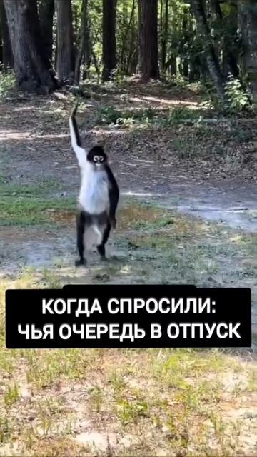 Отпуск смотреть онлайн