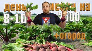 Месяц 2500 рублей на еду + огород. День 8-10.