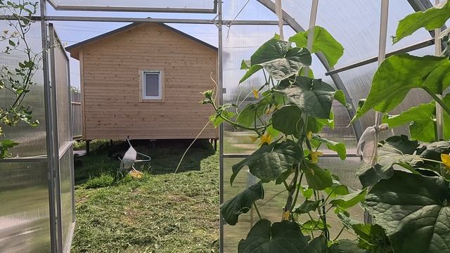 12.07.25 ДОДЕЛАЛ БЕСЕДКУ