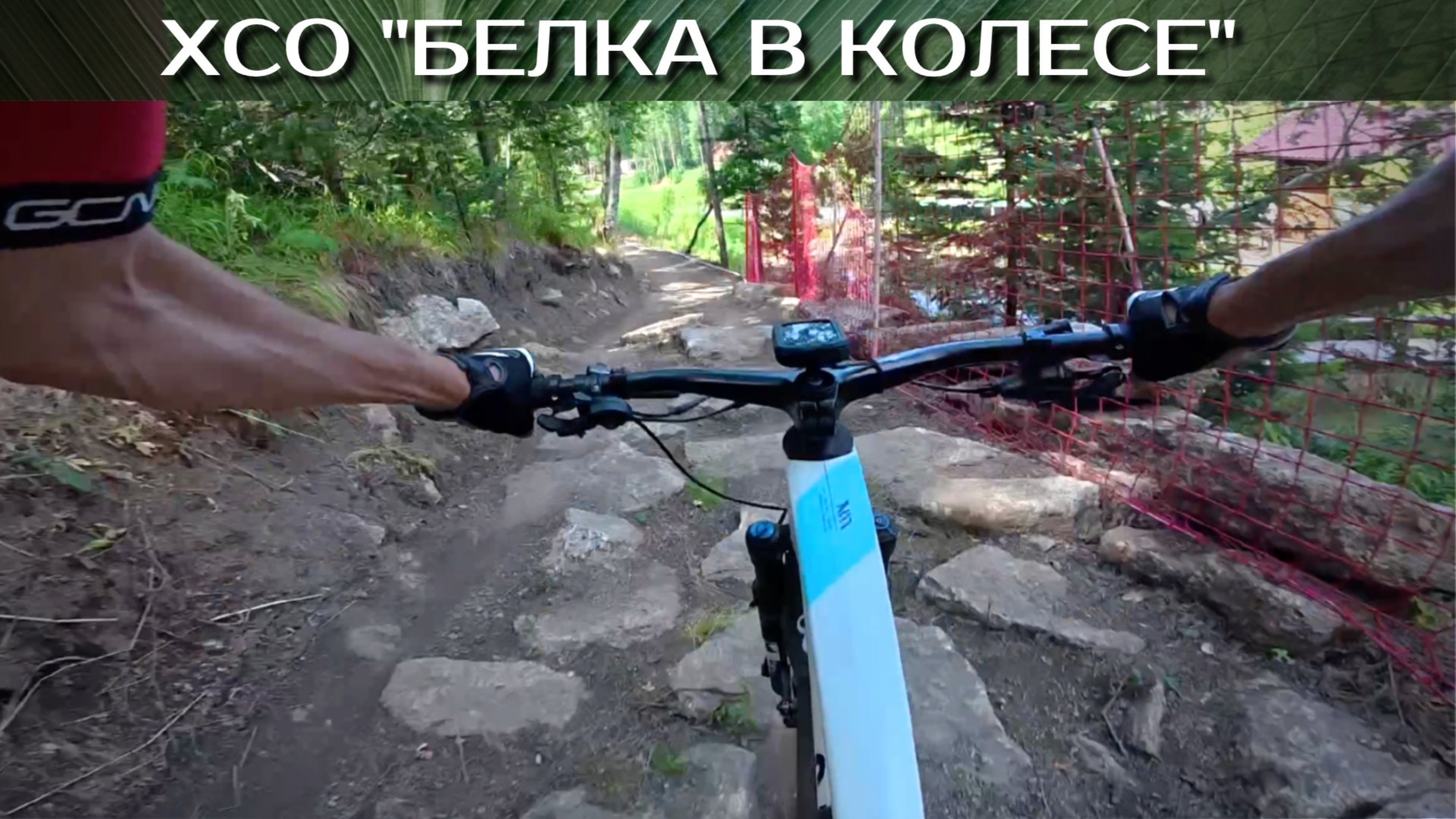 Трейлер ХСО Белка смотреть онлайн