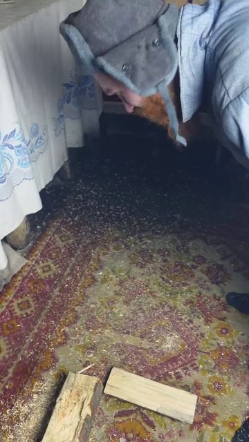 ДЕД И ЗАНАЧКА #shorts смотреть онлайн