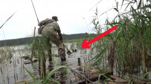 Рыбалка 22 июля в тростнике на линя на поплавок - получаю мастера ПНЛКЛНЛО25!