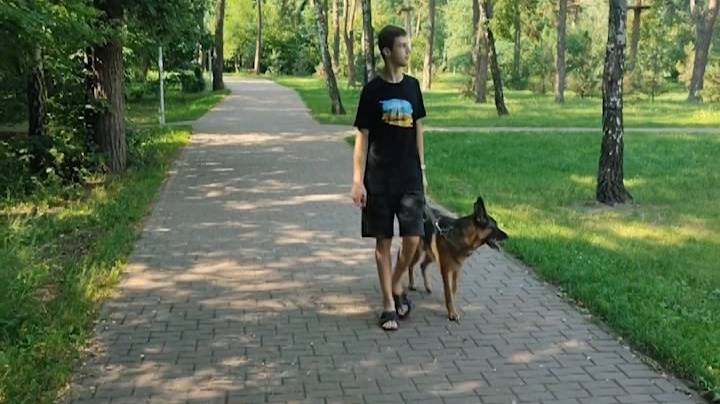Мы в ответе за тех, кого приручили смотреть онлайн