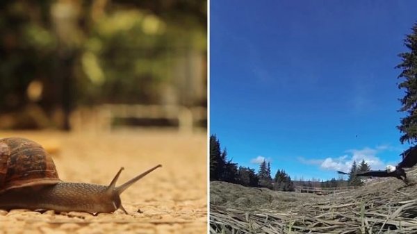 Comparative Adjectives Game _ ESL Guessing Game