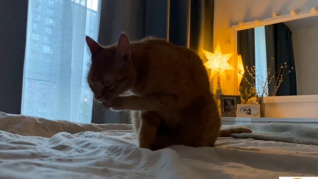 Вечерние умывания перед сном♥️