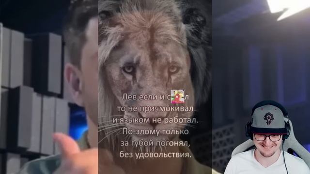 БЕЗМОЗГЛЫЕ ФАНАТИКИ МЕССЕНДЖЕРА MAX ► BVS | Реакция