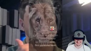 БЕЗМОЗГЛЫЕ ФАНАТИКИ МЕССЕНДЖЕРА MAX ► BVS | Реакция