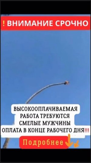 работа для экстремальных