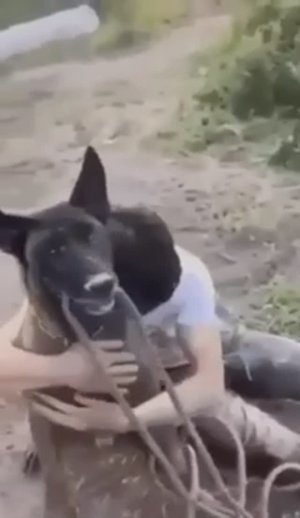 ТВОРИ ДОБРО (как мы, люди, спасаем животных)