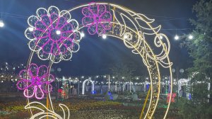 Наманган. Фестиваль цветов. #наманган #узбекистан