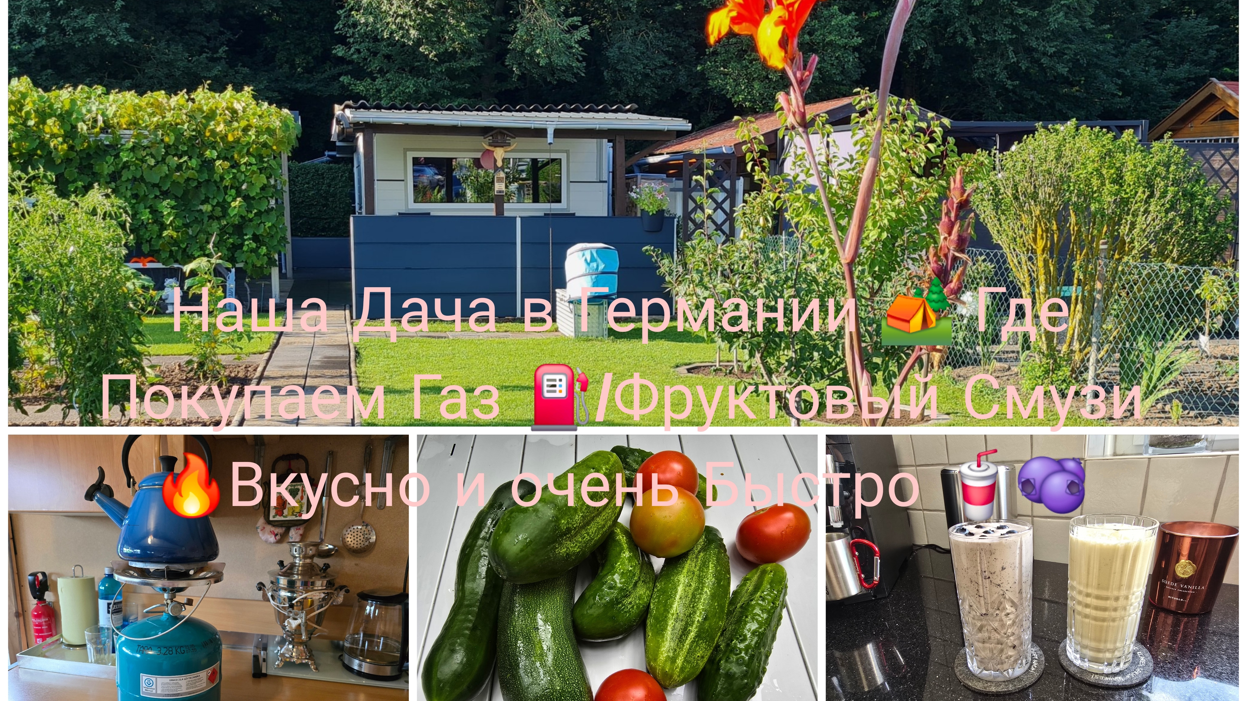 vlog 🇩🇪 Жизнь в Германии какая она/Работа Дача Огурцы растут как ненормальный на Грядках/ смотреть онлайн