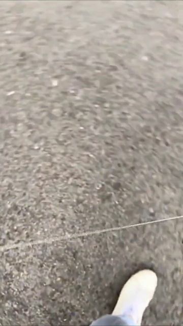 Палка смотреть онлайн